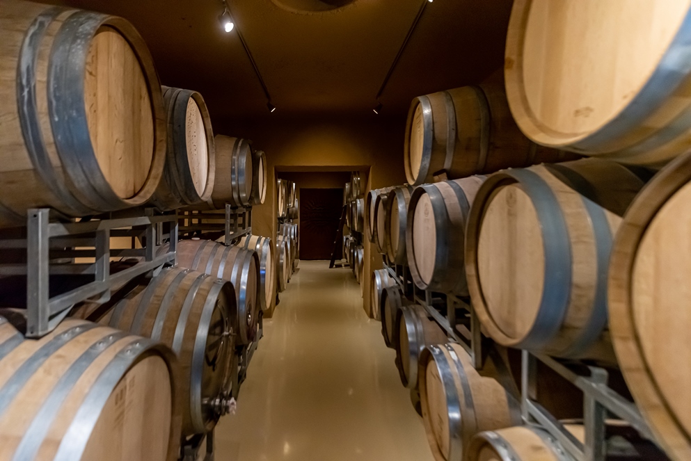 Turismo enológico: 23 bodegas para descubrir los sabores del vino en Córdoba