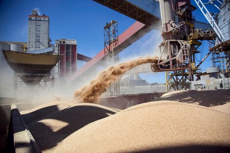 Imagen de descarga de cereales en el puerto.
