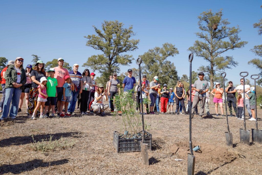 En el marco de su 150 aniversario, el Banco de Córdoba celebró una ceremonia de plantación de 2.500 árboles nativos en la estación ferroviaria de Toledo.