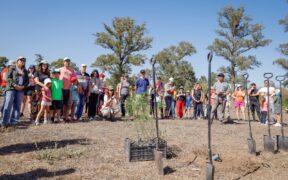 En el marco de su 150 aniversario, el Banco de Córdoba celebró una ceremonia de plantación de 2.500 árboles nativos en la estación ferroviaria de Toledo.