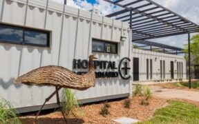 Córdoba tendrá el primer hospital público de animales de la provincia