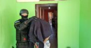 El operativo está vinculado al secuestro varias dosis de marihuana, hongos alucinógenos, balanzas digitales, plantas de cannabis sativa y dinero por parte de la Policía de Córdoba.