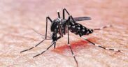 Entre octubre de 2023 y marzo de 2024 ya reportaron más de 14 mil casos de dengue en la provincia de Córdoba.